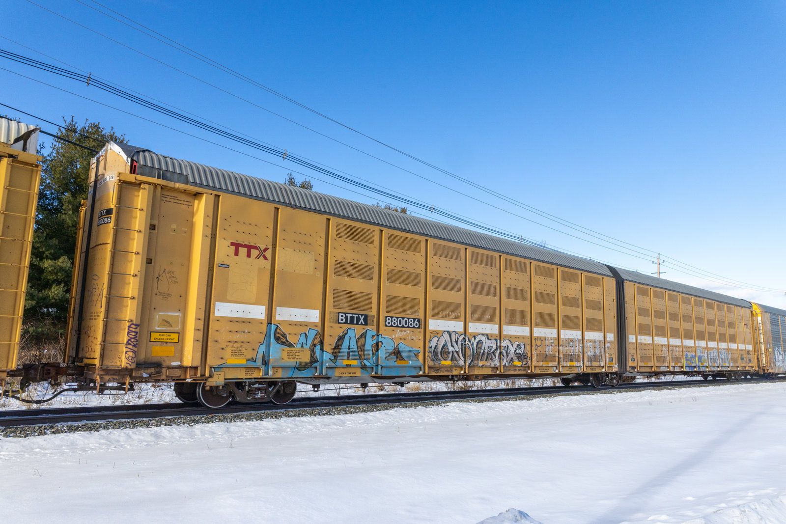 BTTX 880086