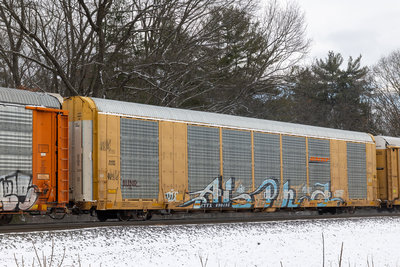 CTTX 690498