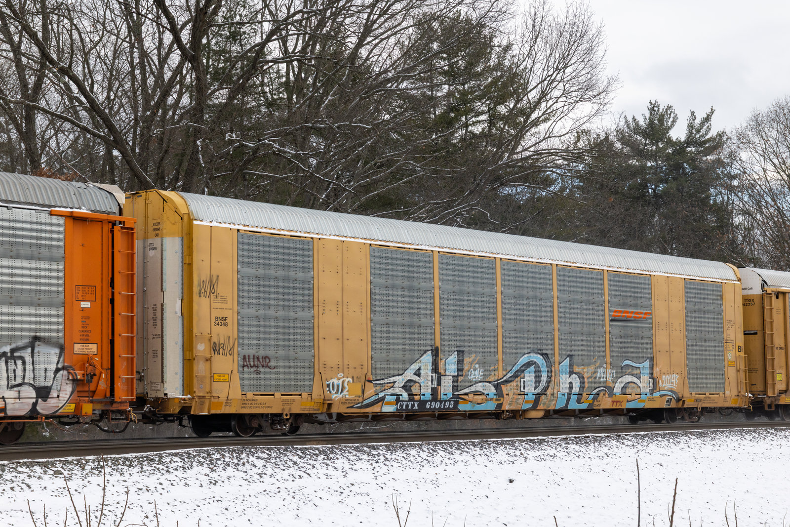 CTTX 690498
