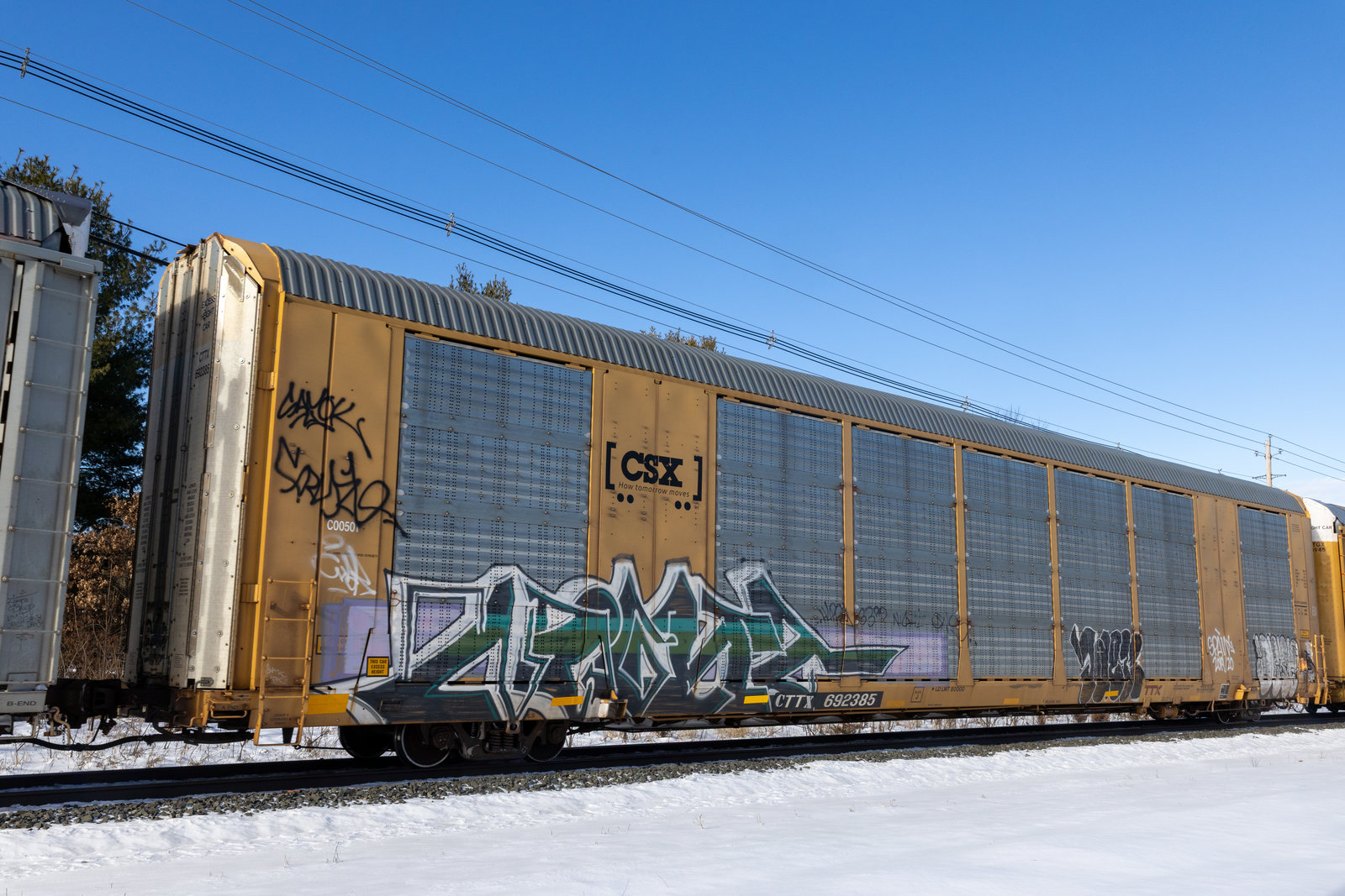 CTTX 692385