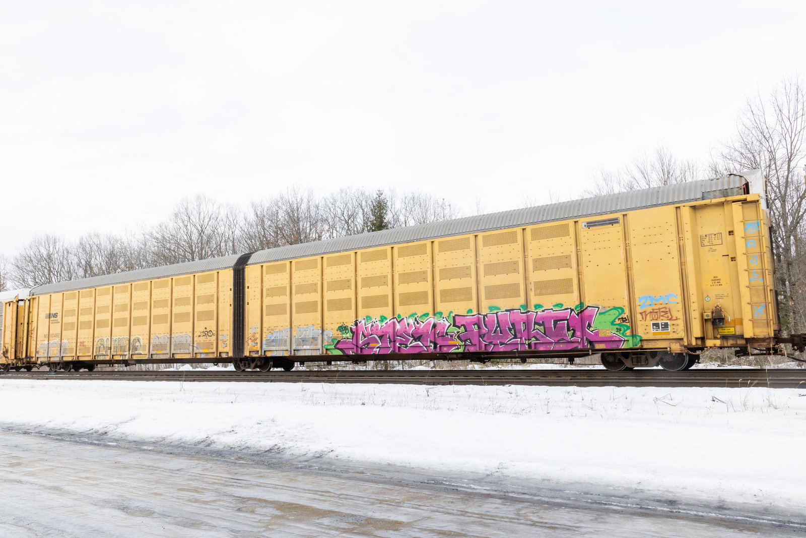 NS 110482