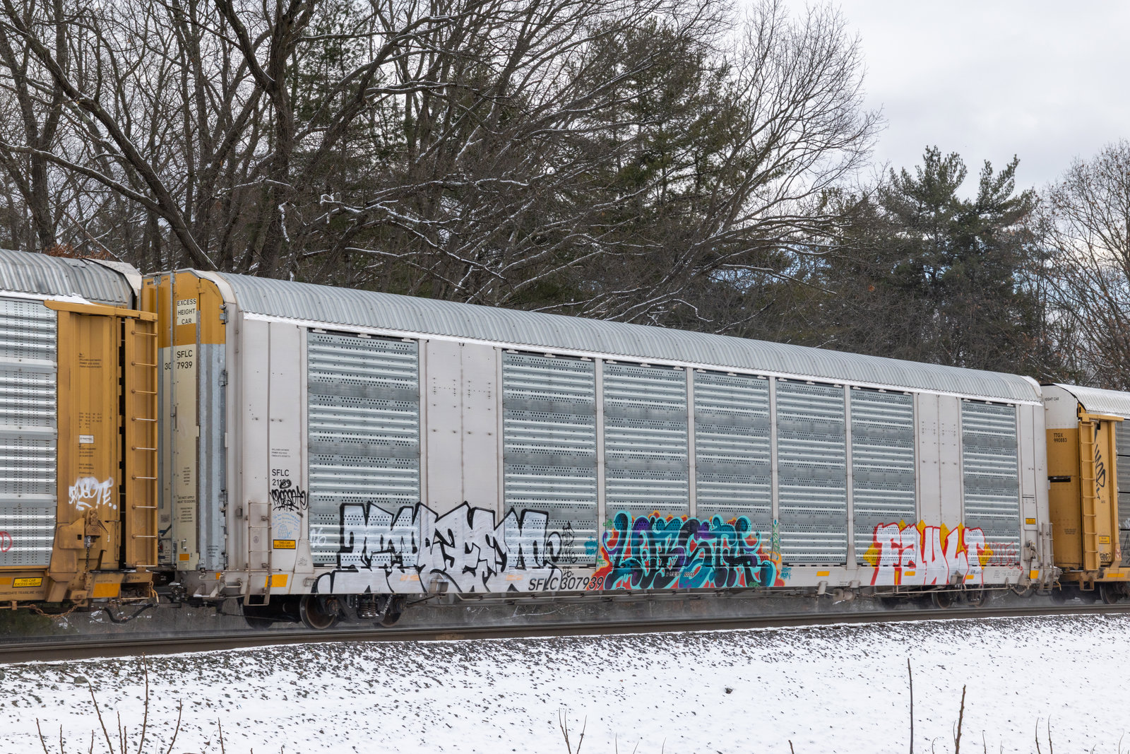 SFLC 307939