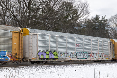 SFLC 307345