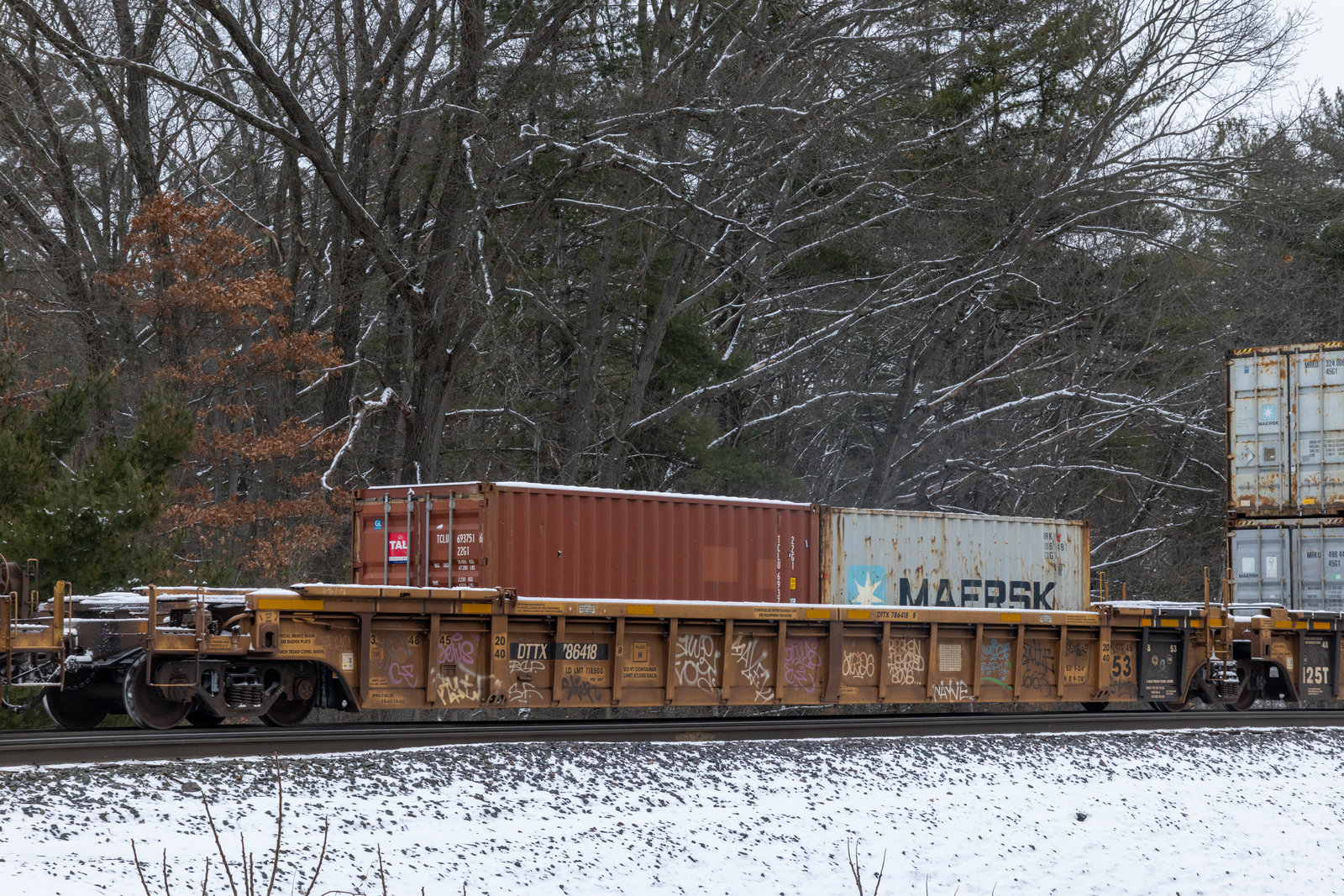 DTTX 786418B