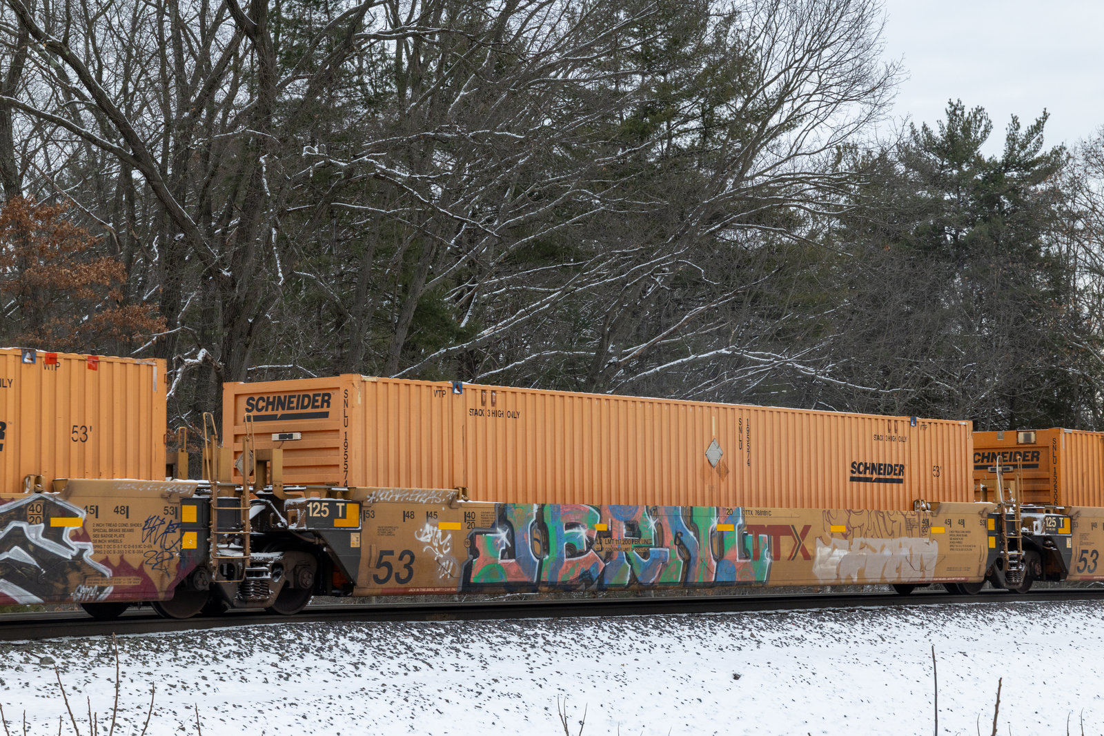 DTTX 768181C