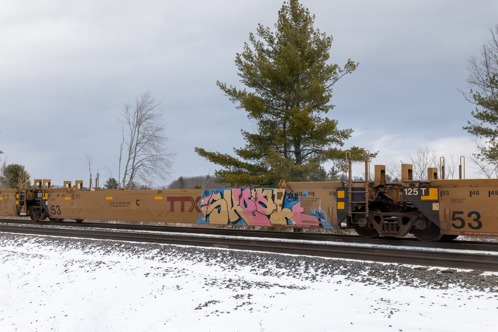 DTTX 768969C