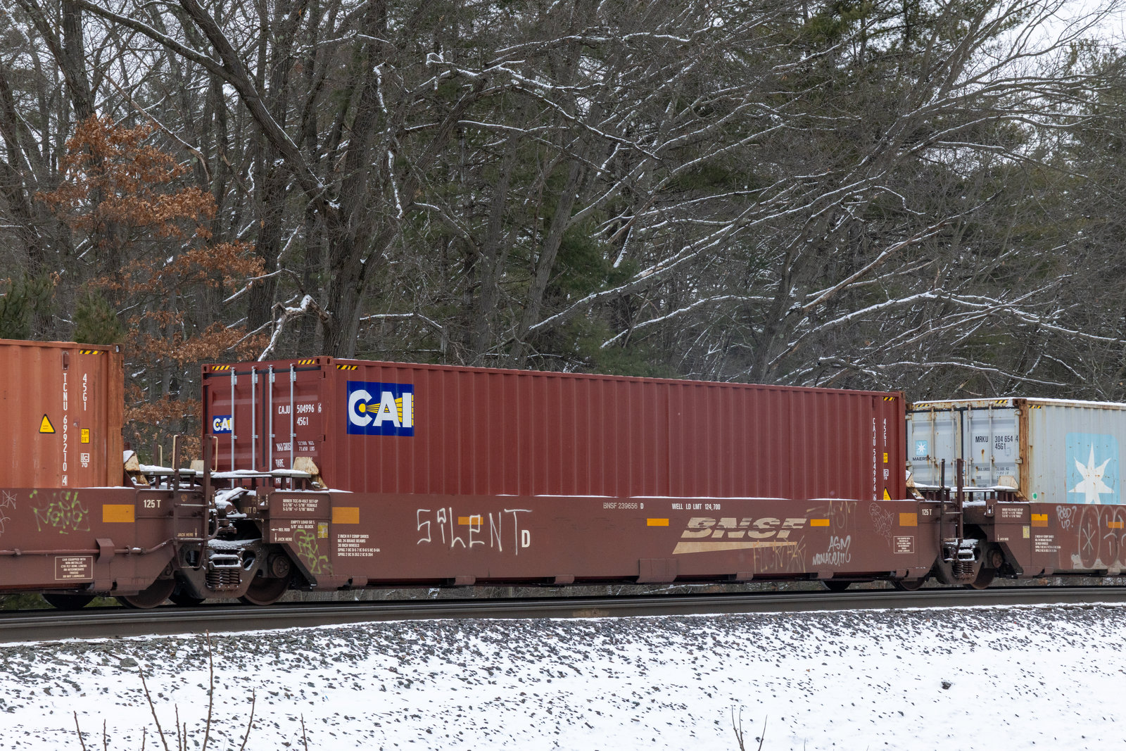 BNSF 239656D