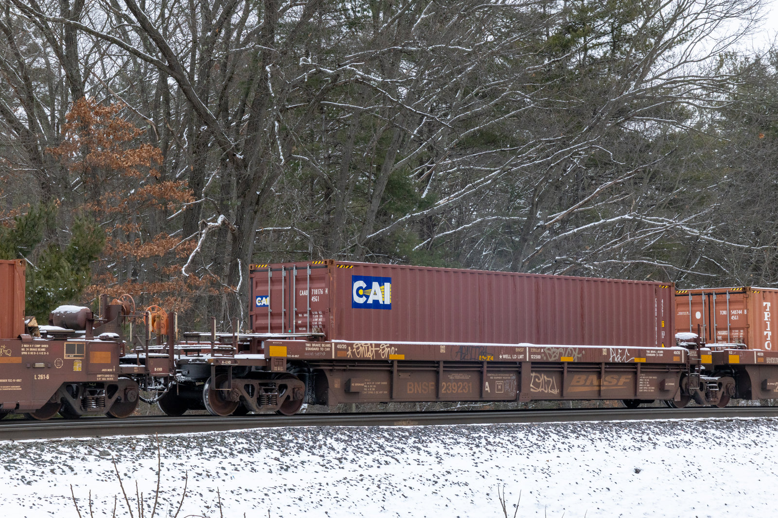 BNSF 239231A
