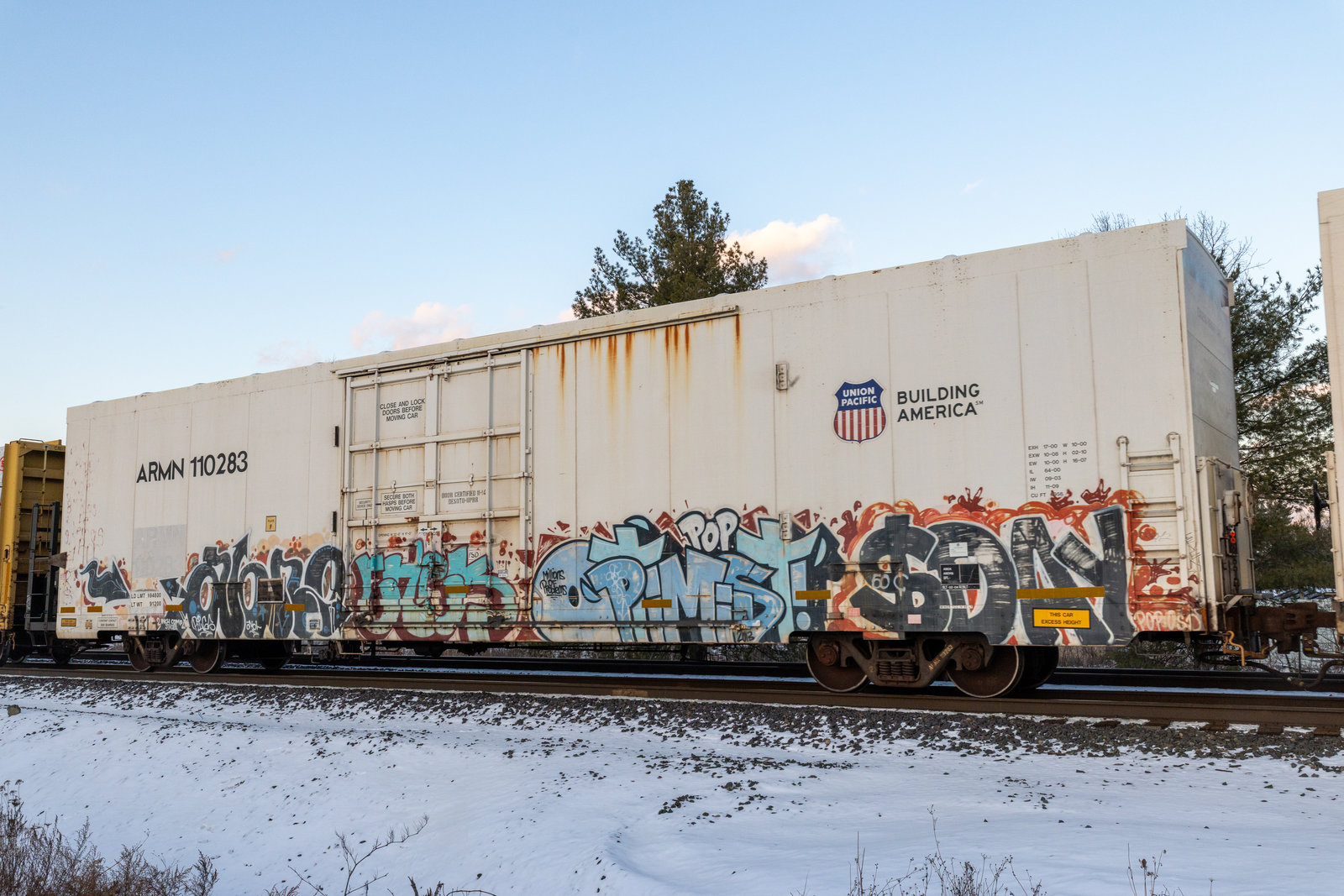 ARMN 110283