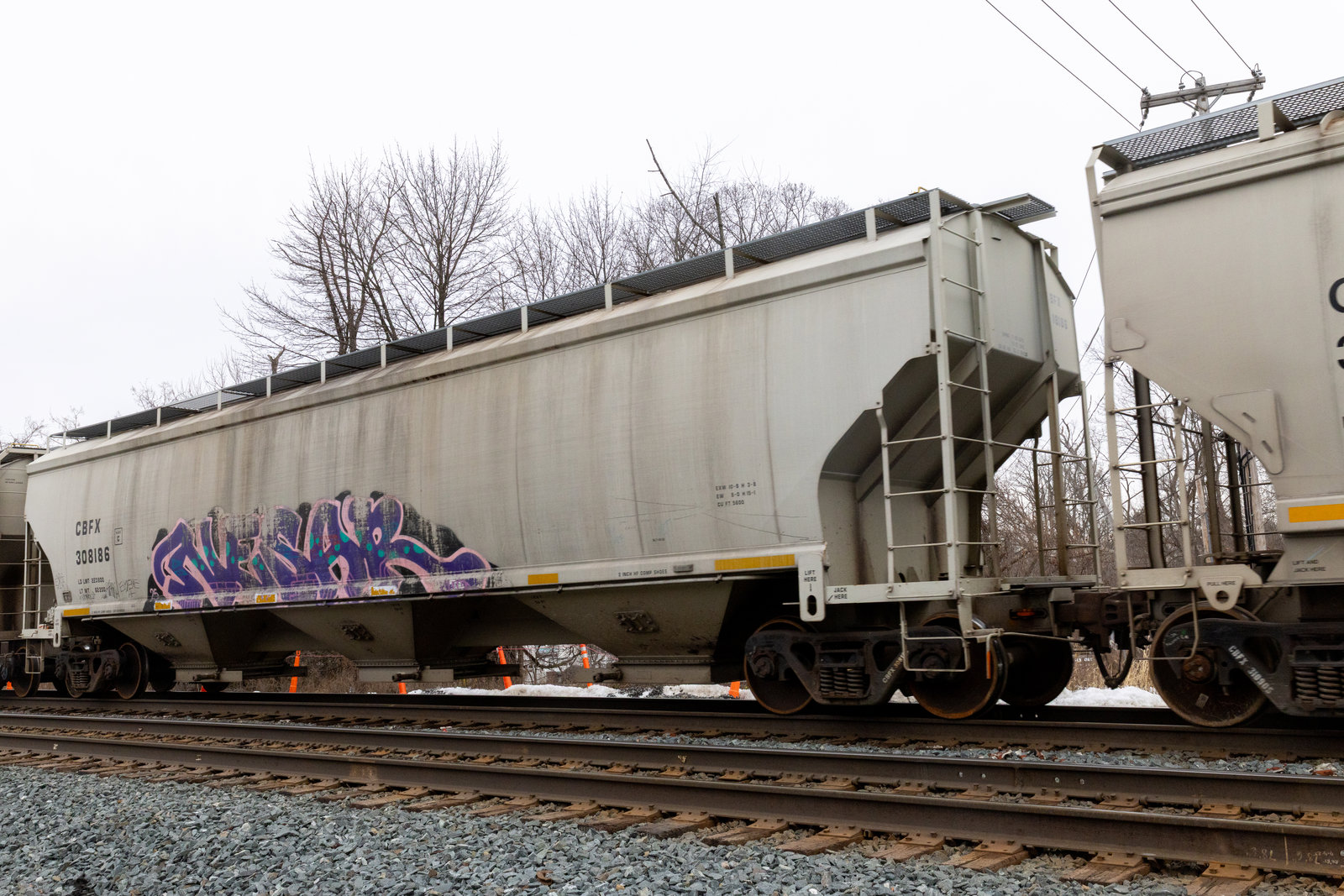 CBFX 308186