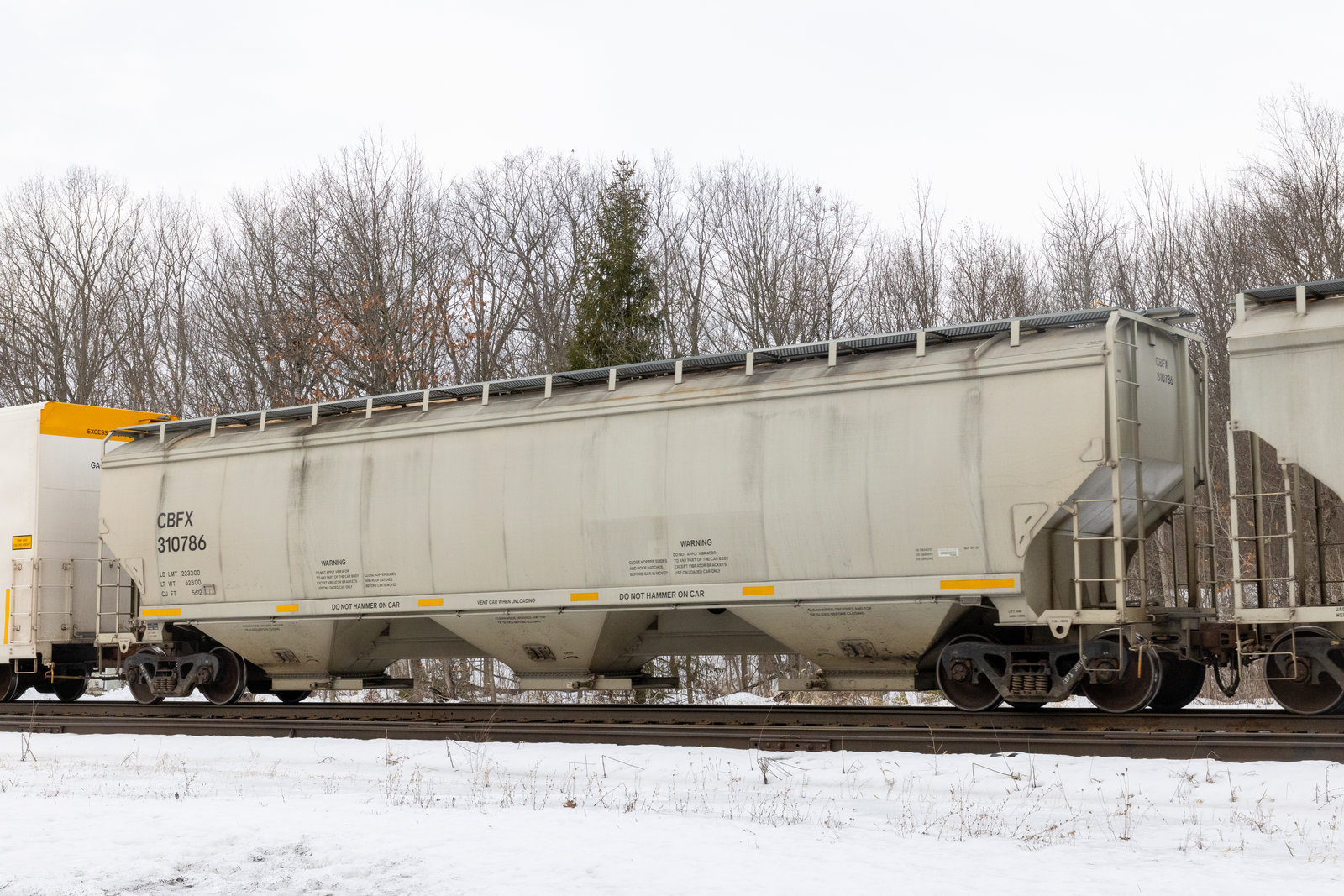 CBFX 310786