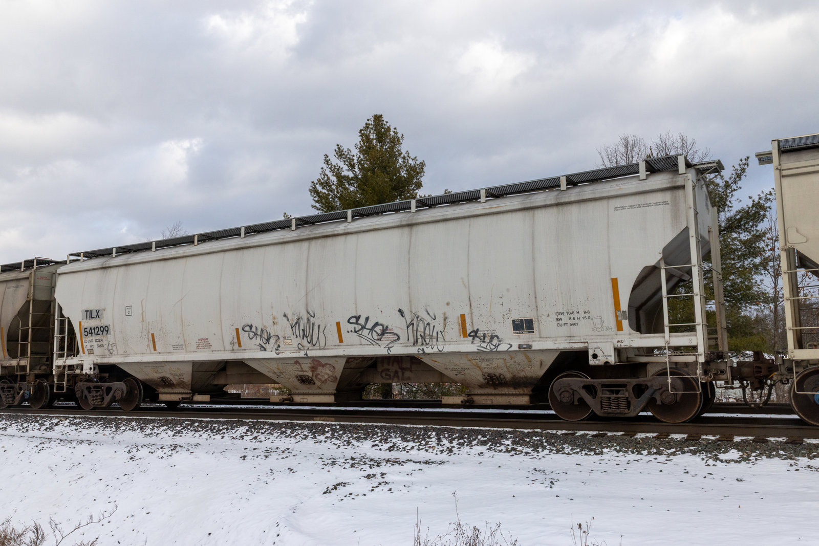 TILX 541299