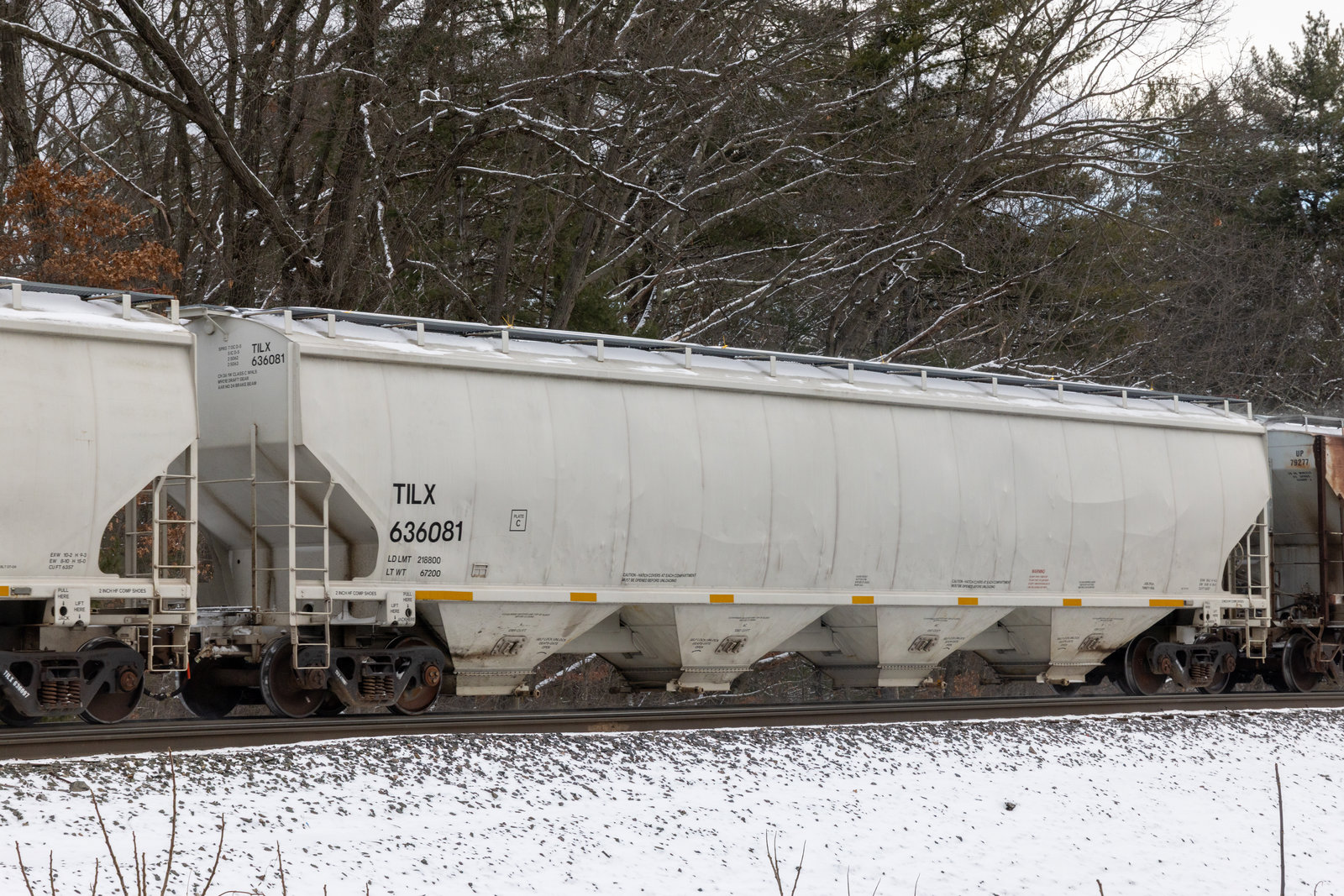 TILX 636081