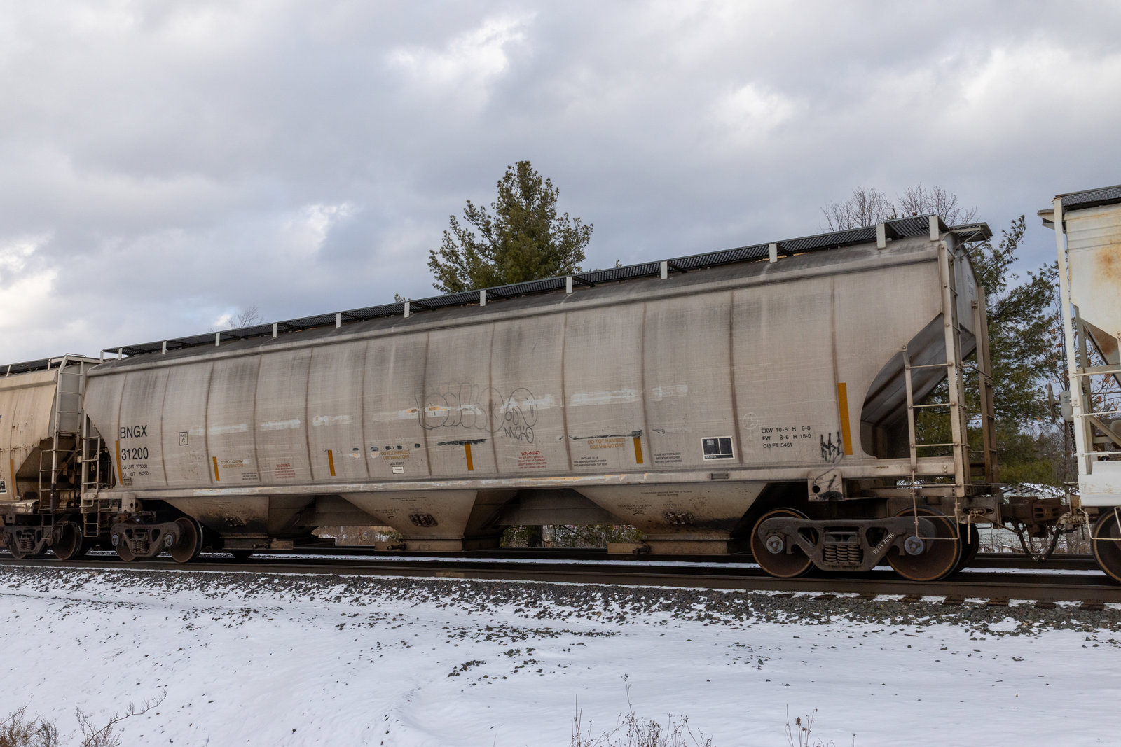 BNGX 31200