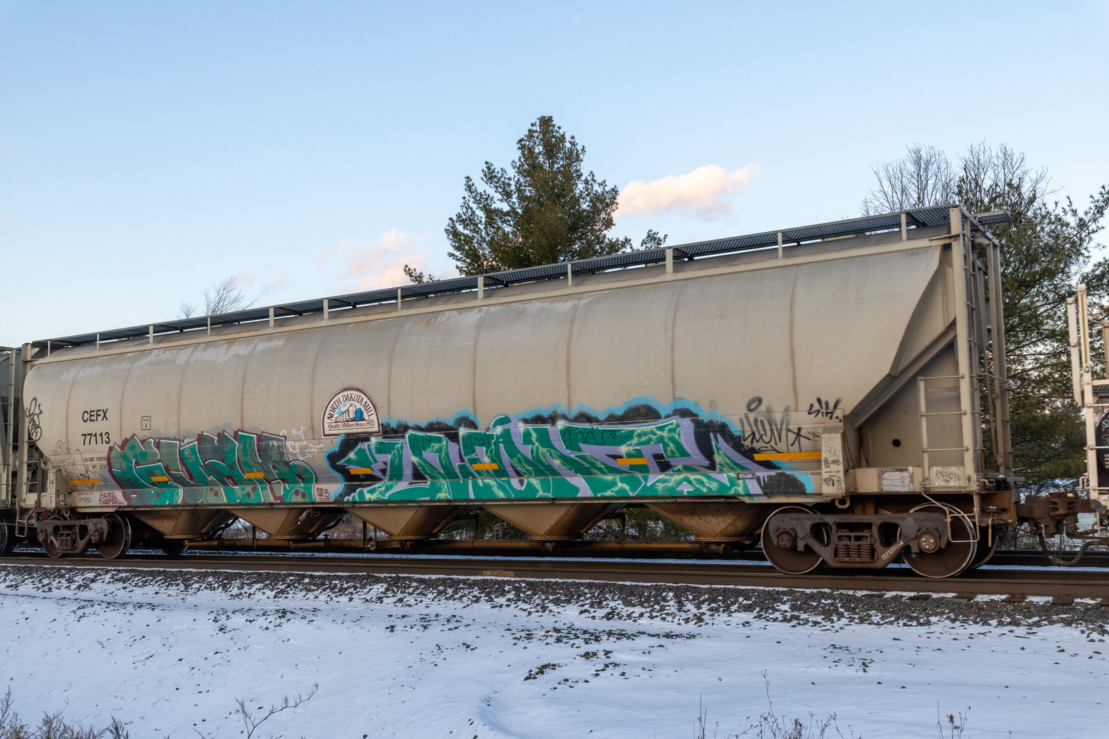 CEFX 77113