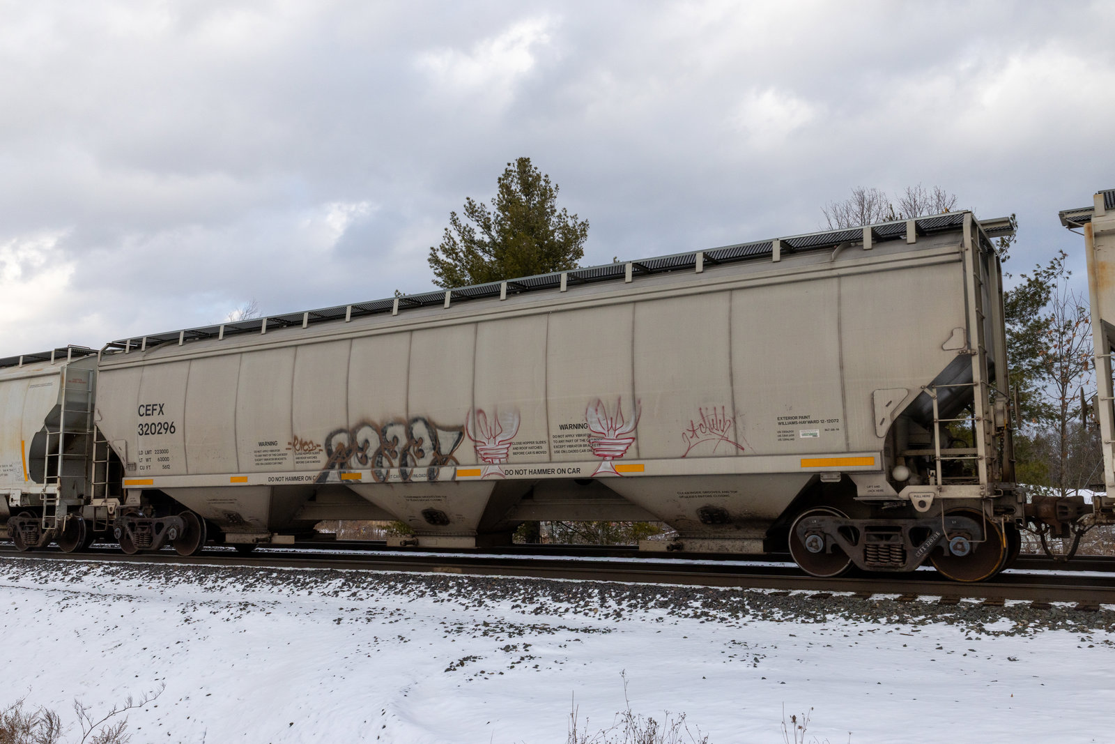 CEFX 320296