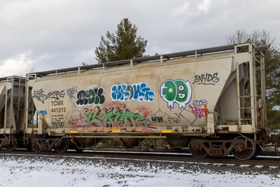 TCMX 441213