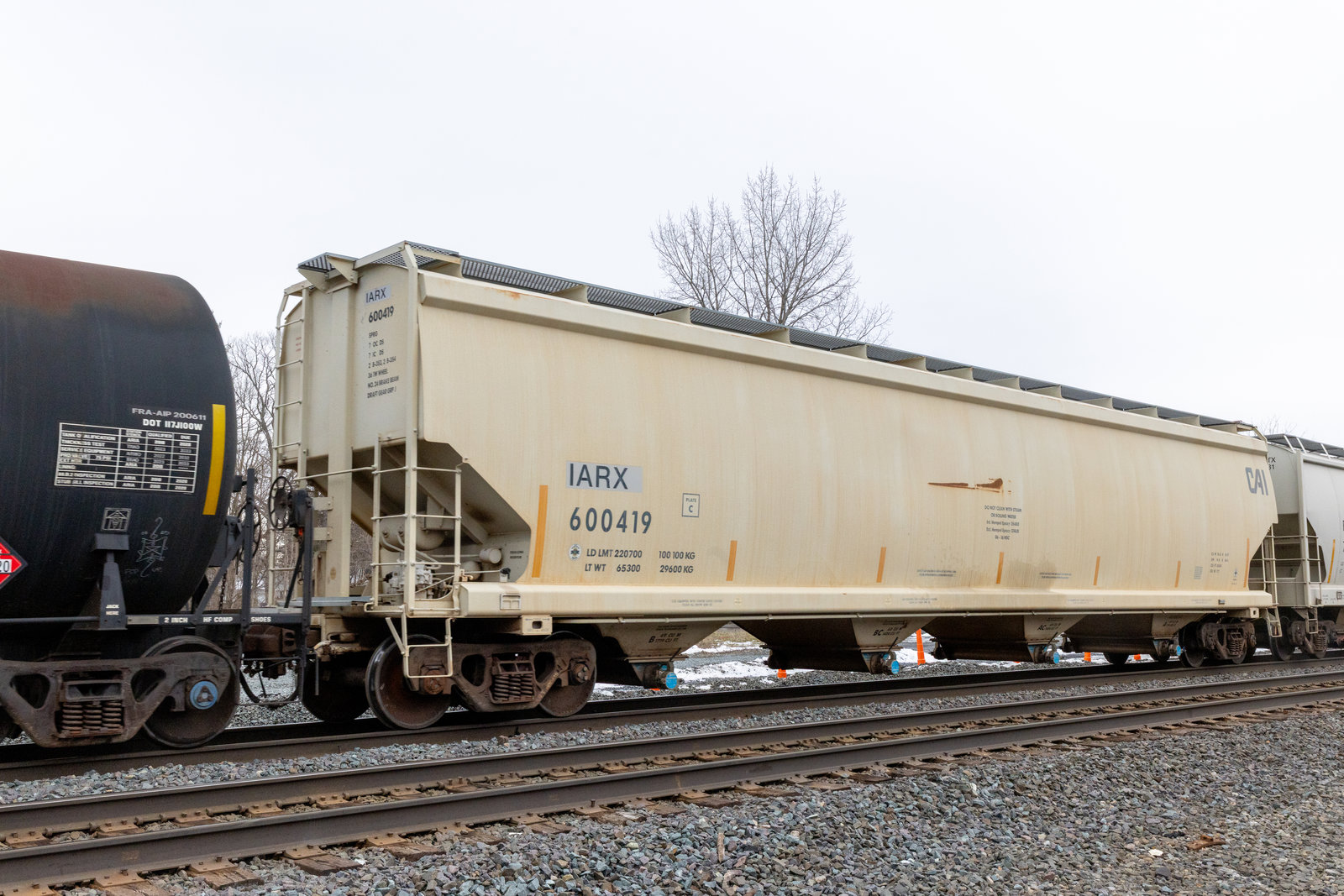 IARX 600419