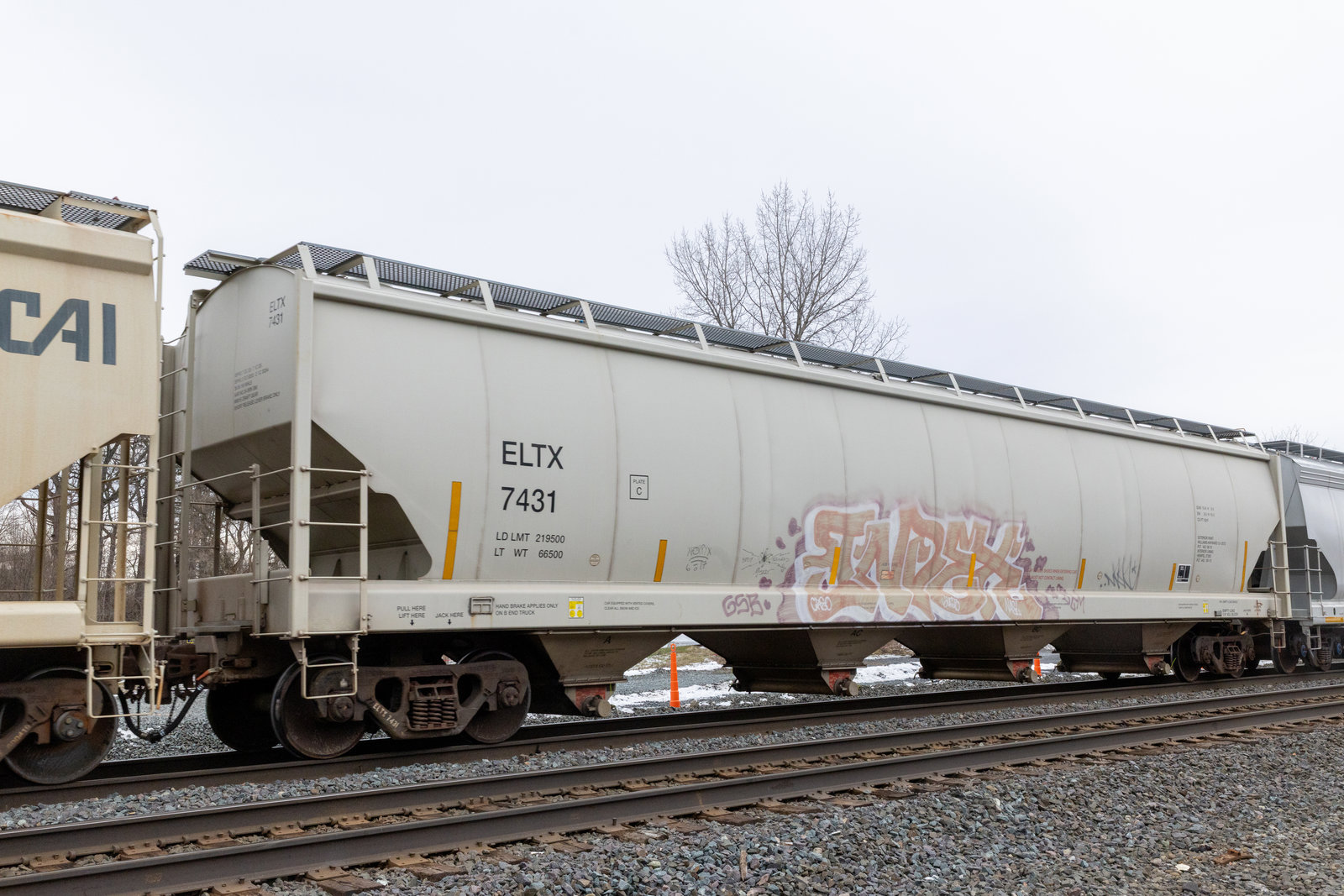 ELTX 7431