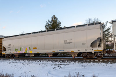 SHQX 41381