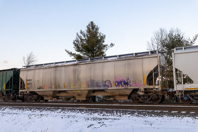 BNGX 30673