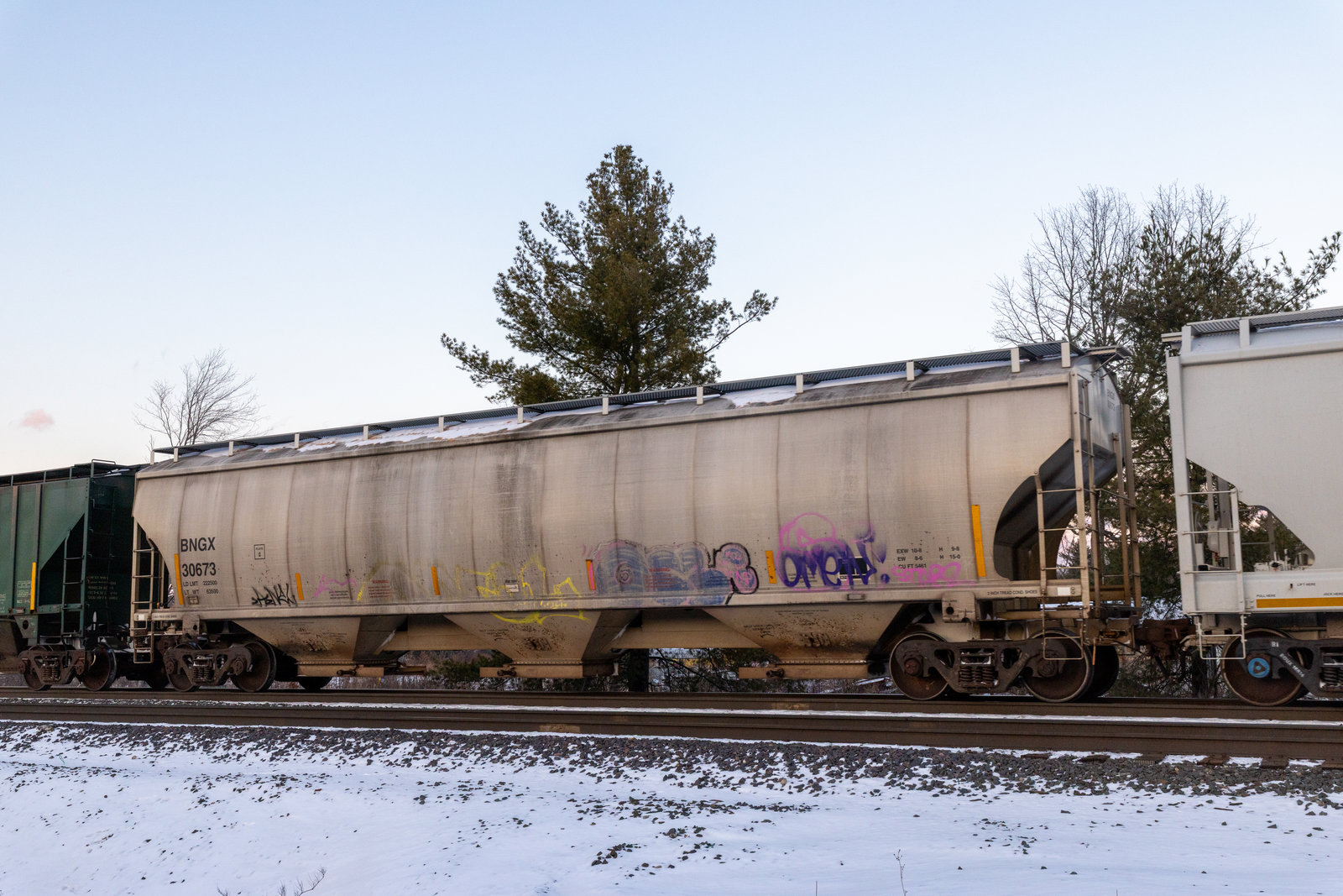 BNGX 30673