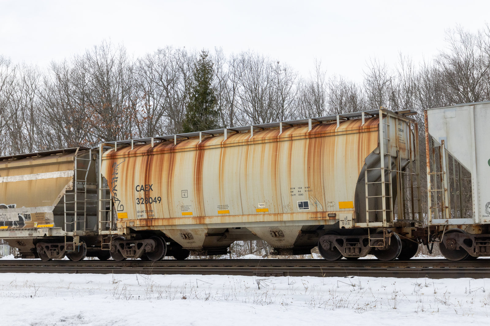 CAEX 328049