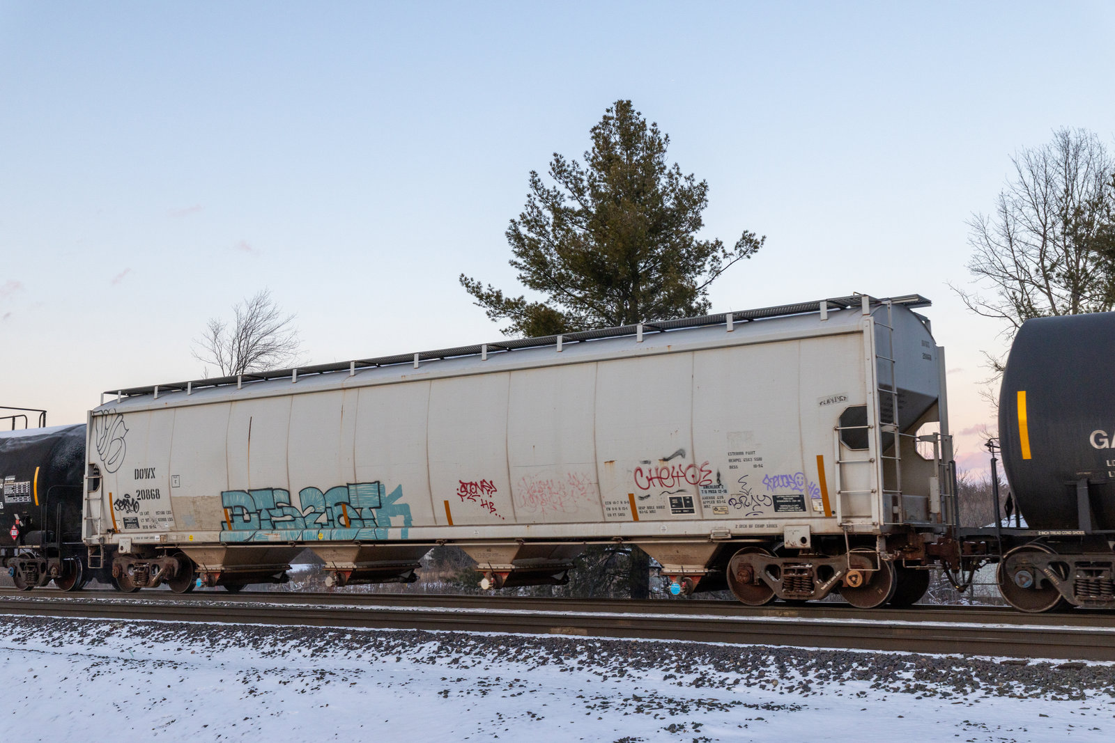 DOWX 20868
