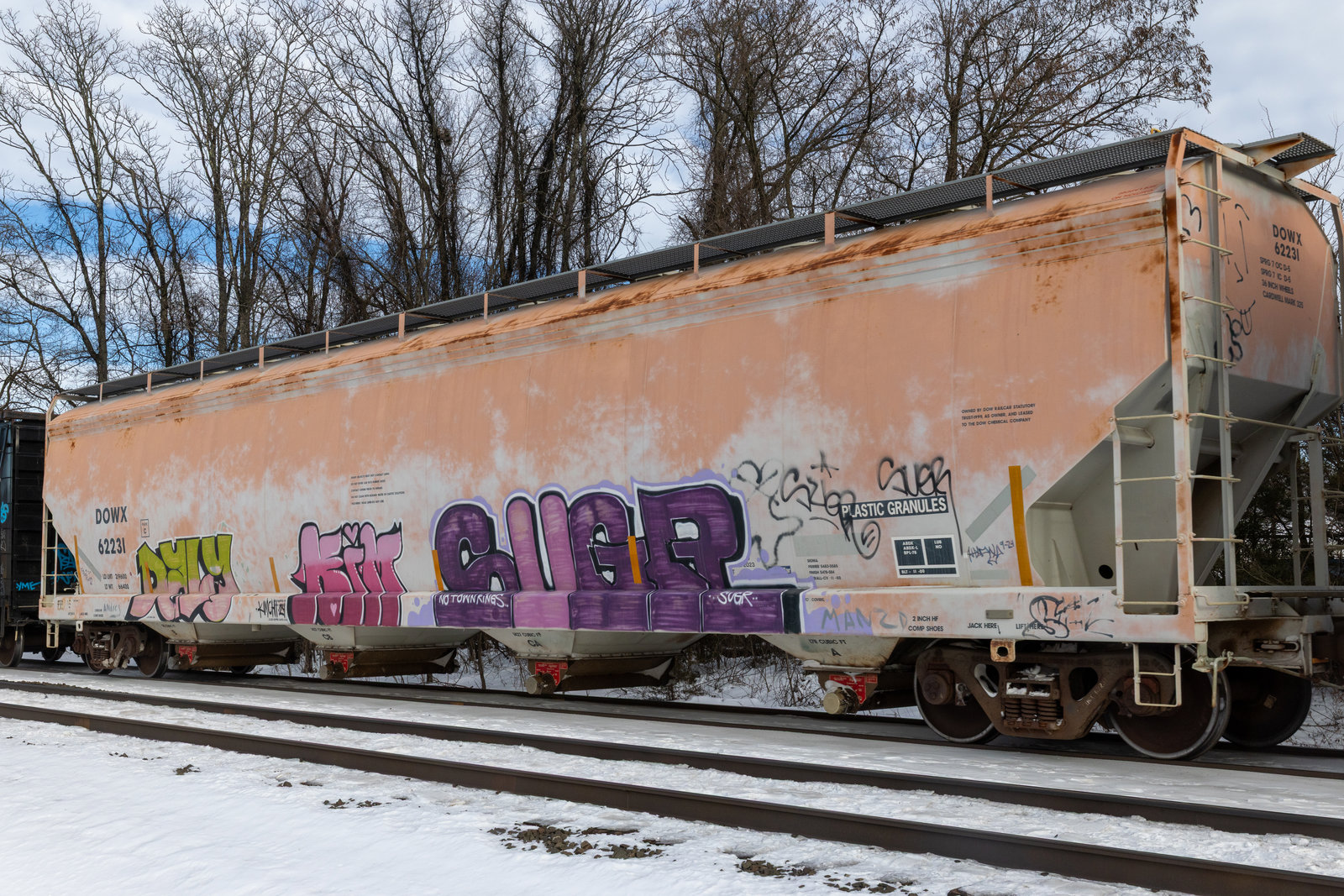 DOWX 62231