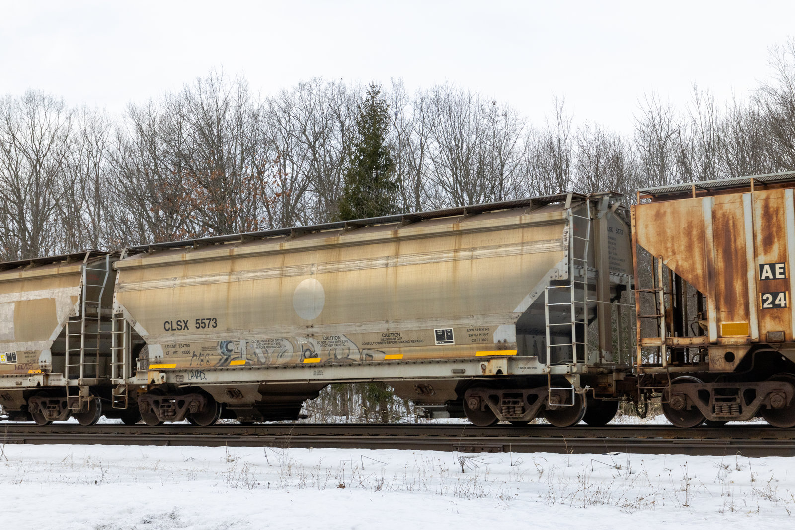 CLSX 5573