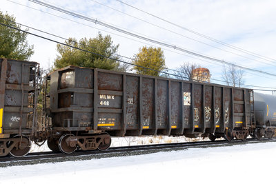MLMX 446