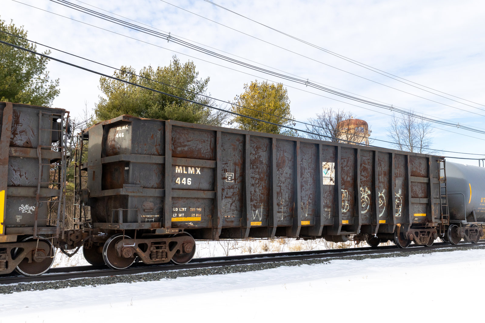 MLMX 446