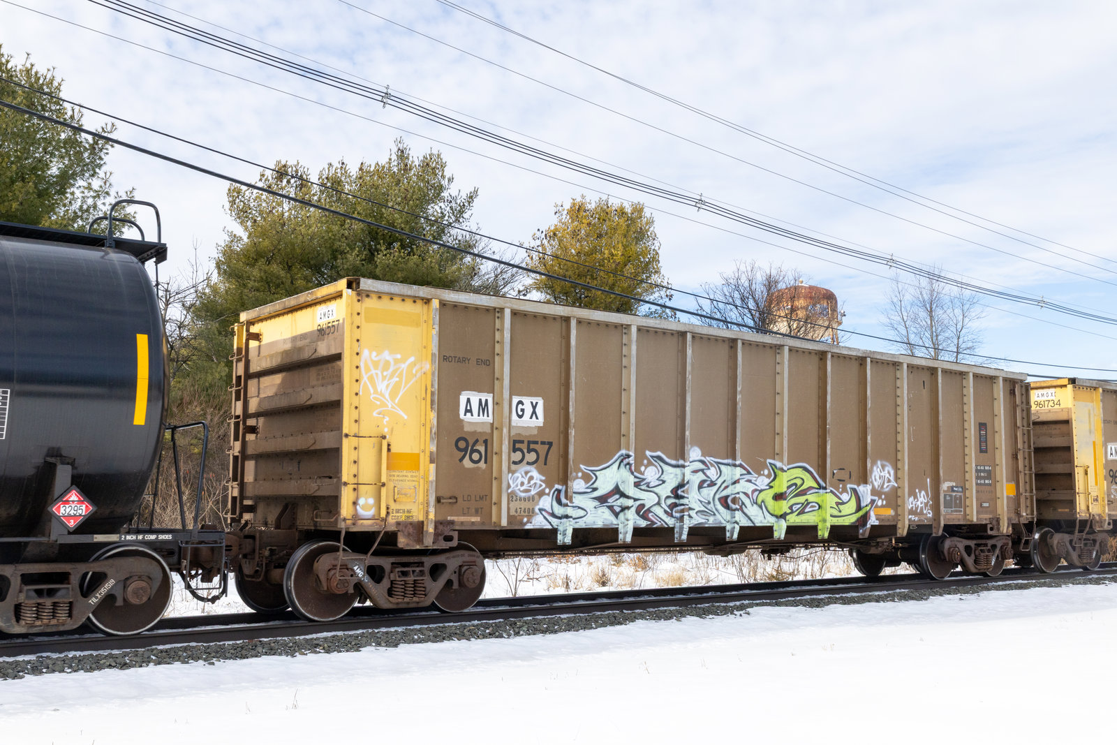 AMGX 961557