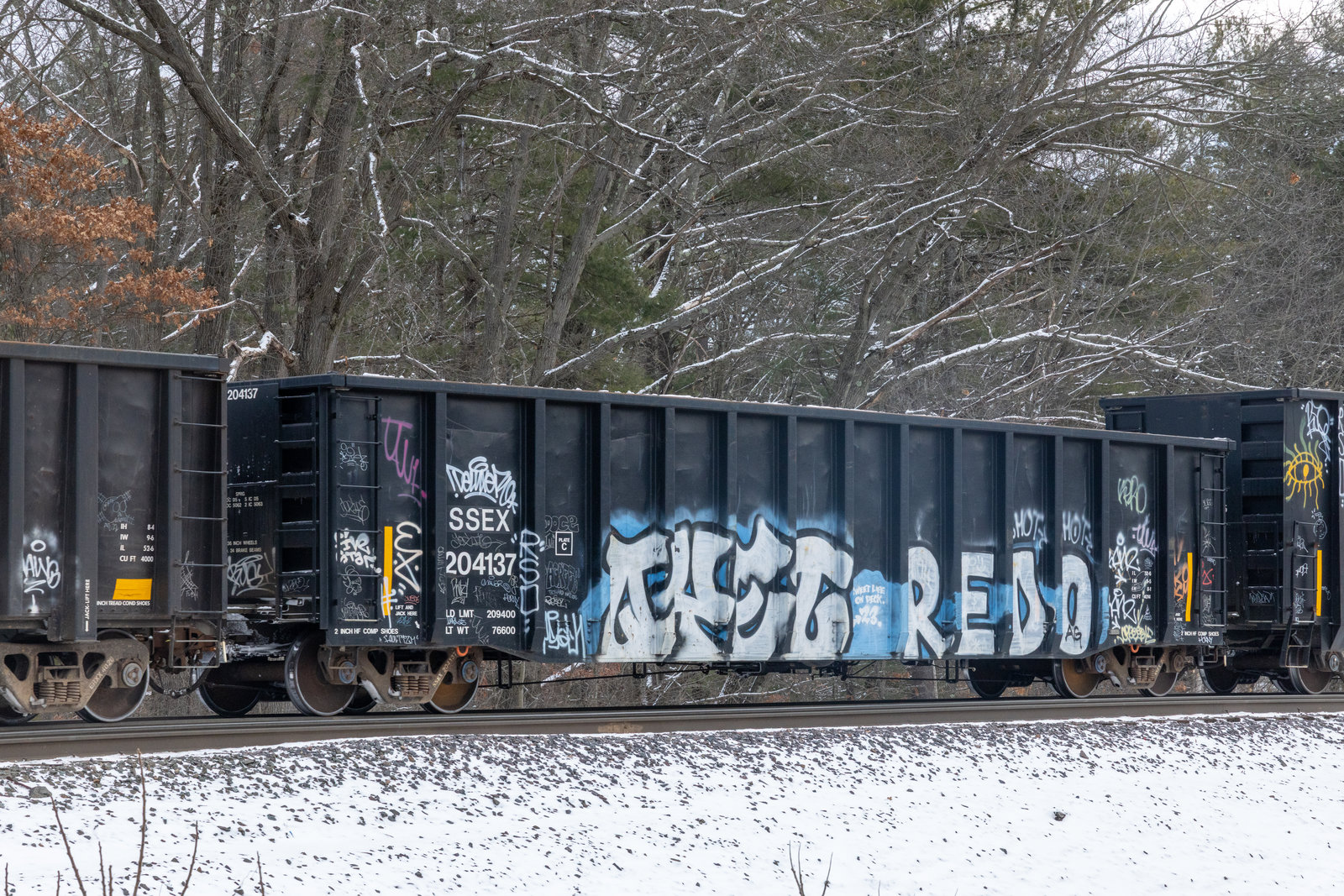 SSEX 204137