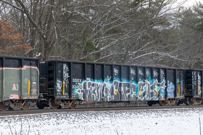 SSEX 204106