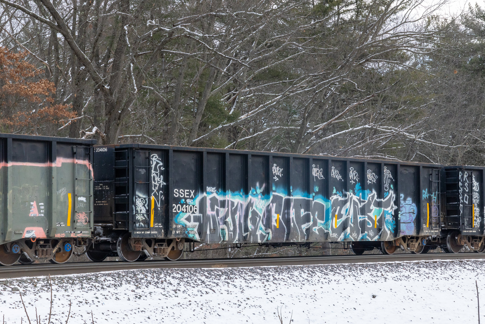 SSEX 204106