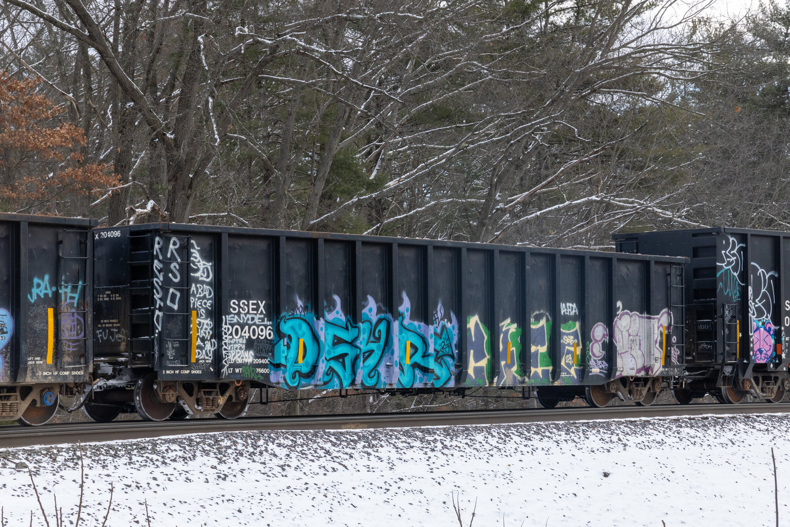 SSEX 204096