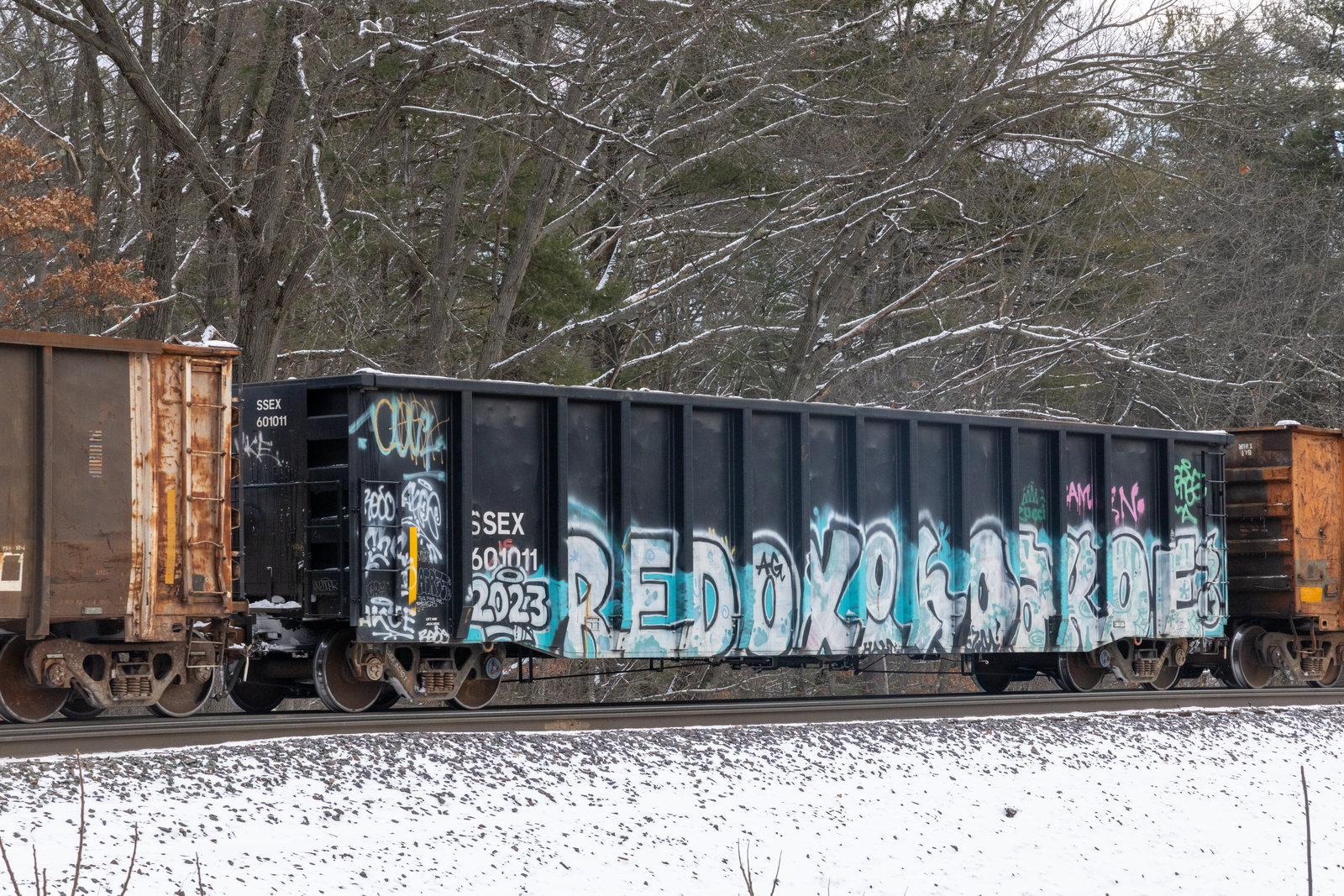SSEX 601011