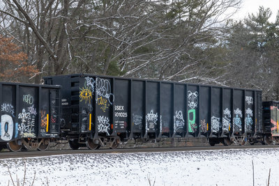 SSEX 501025