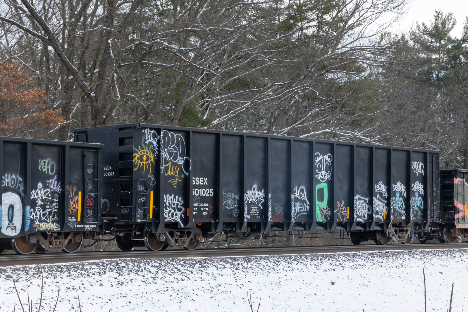 SSEX 501025