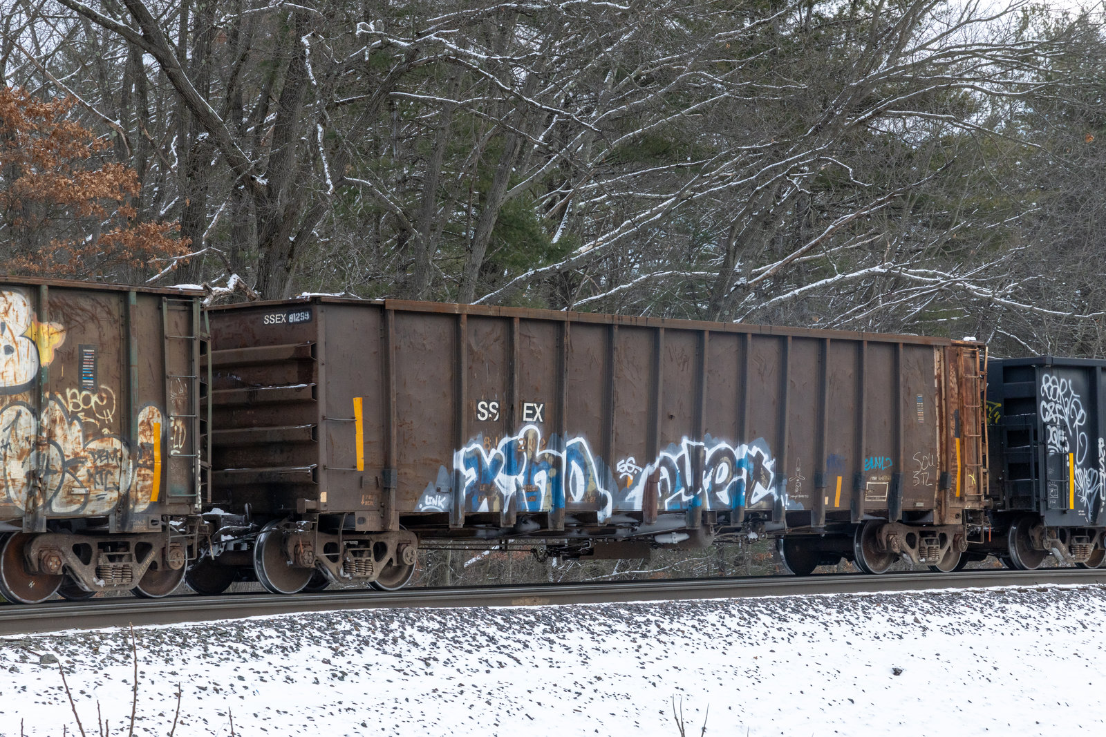 SSEX 81299