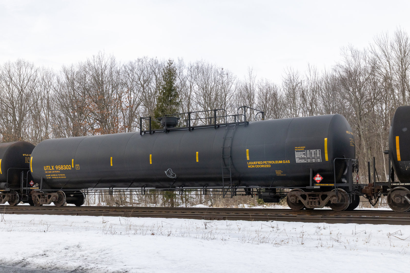UTLX 958302