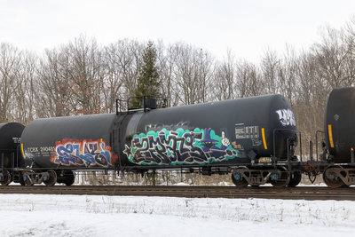 TCBX 290481