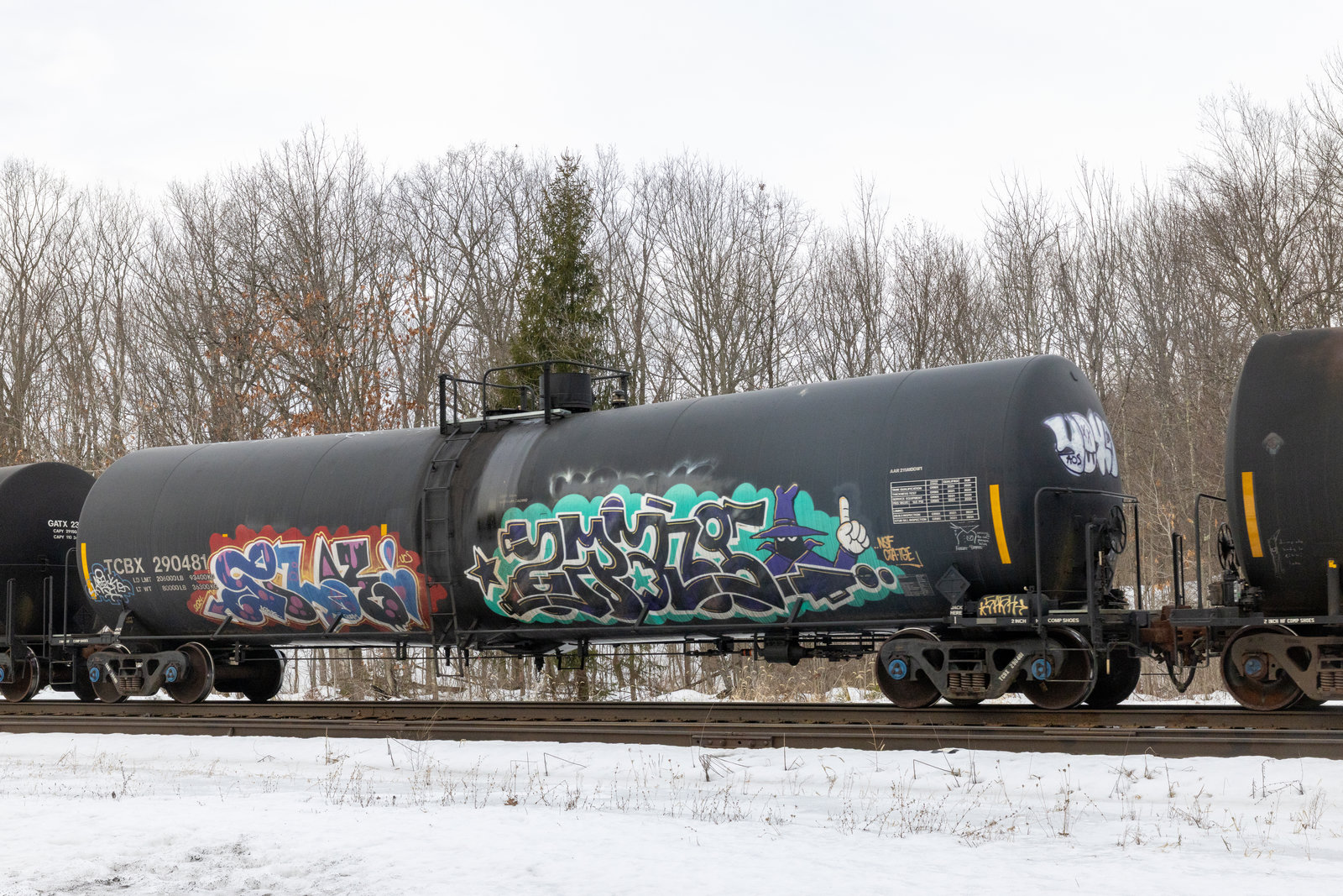 TCBX 290481