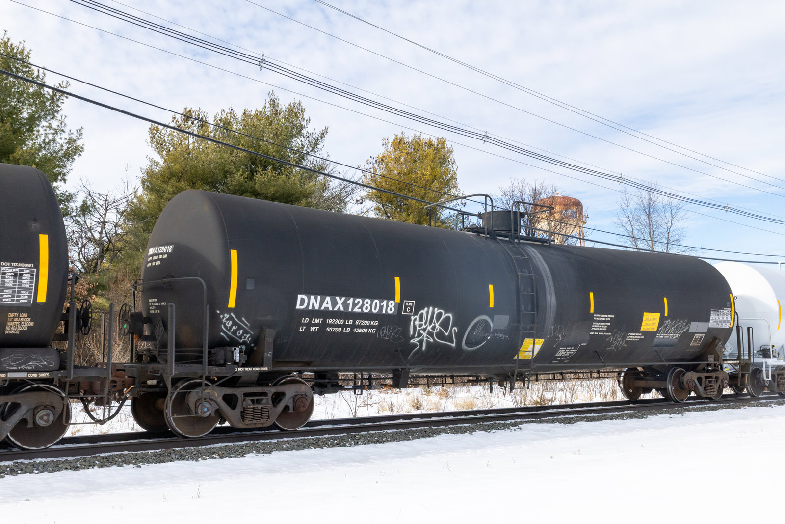DNAX 128018