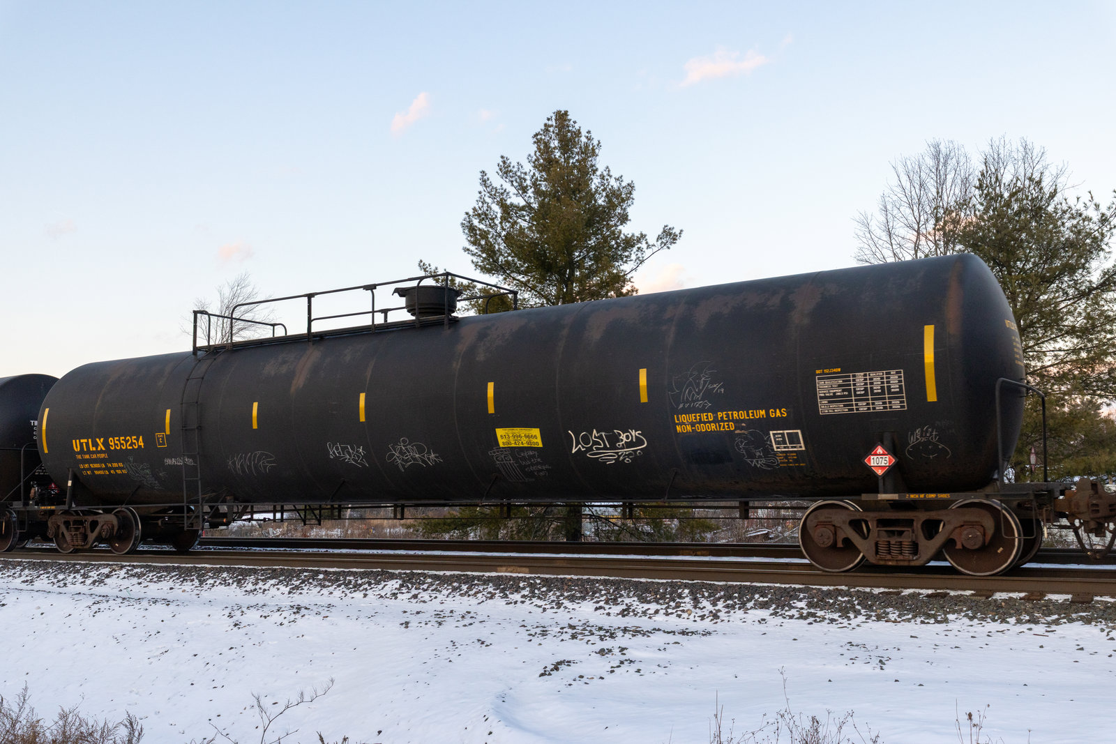UTLX 955254