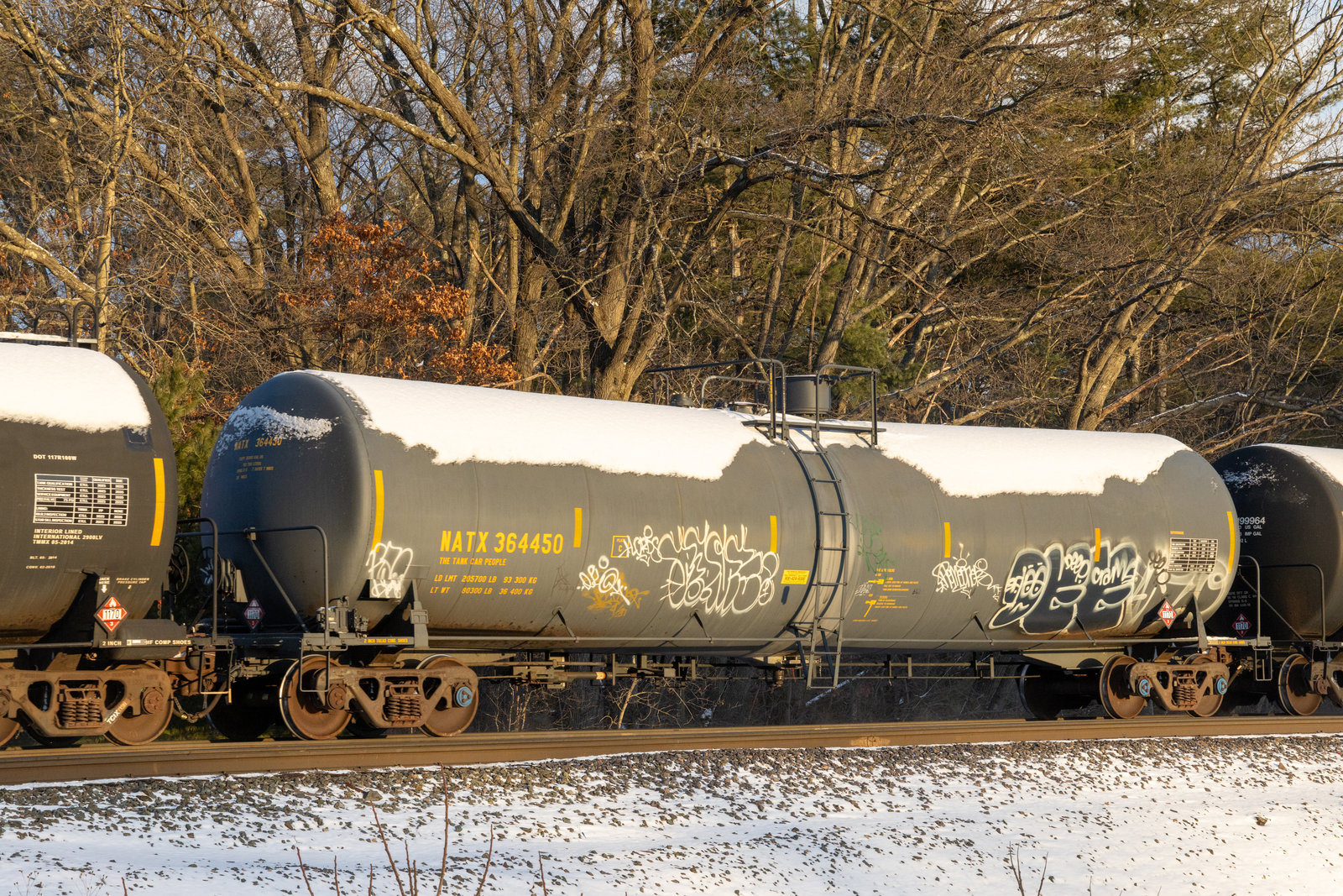 NATX 364450