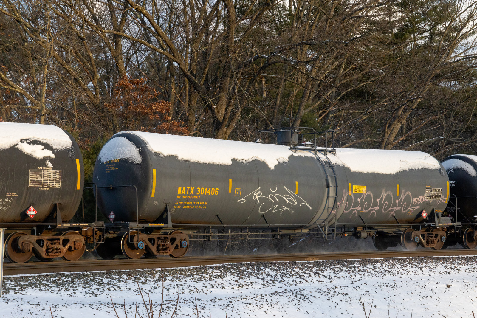 NATX 301406