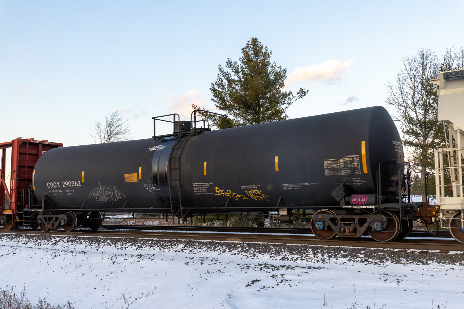 CRGX 290362
