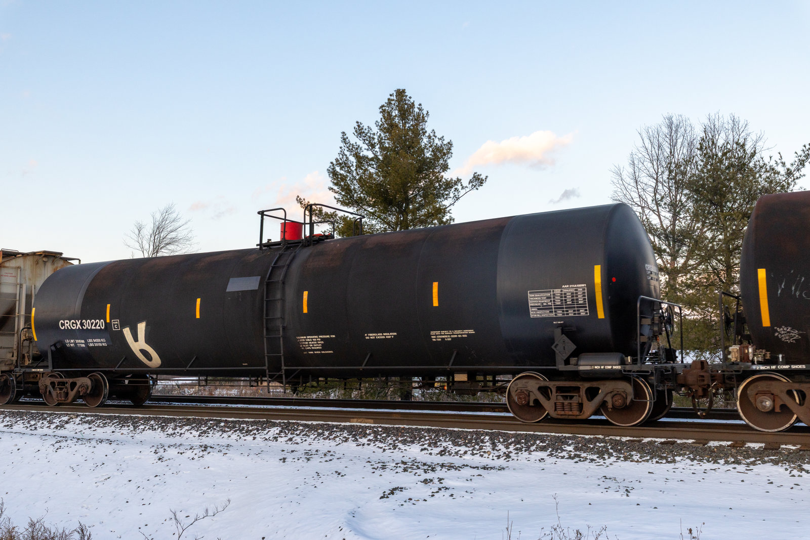 CRGX 30220